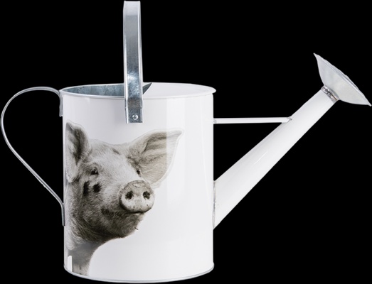 Regadera Metalica Animales de Granja Blanco y Negro